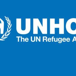 Apa Itu UNHCR dan Tugasnya?