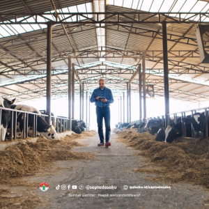 Cara Memilih Kandang Sapi Potong yang Tepat Berdasarkan Tujuan Pemeliharaan
