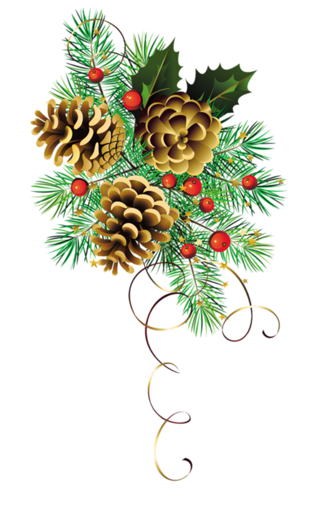 Natal, natal, liburan, cabang, Dekorasi natal png