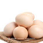 Sukses Menetaskan Telur dengan Mesin Tetas, Ini Caranya!