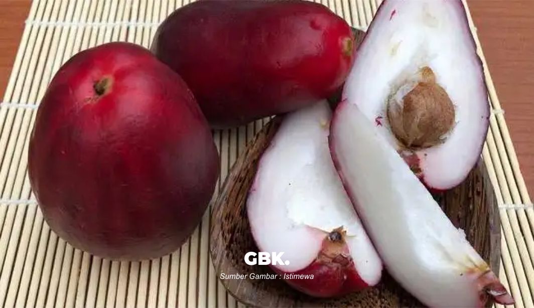 Mengenal Jambu Jamaika